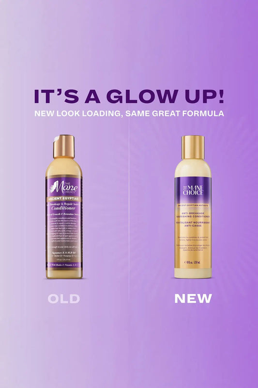 THE MANE CHOICE EGYPT CONDITIONER 8oz THE MANE CHOICE