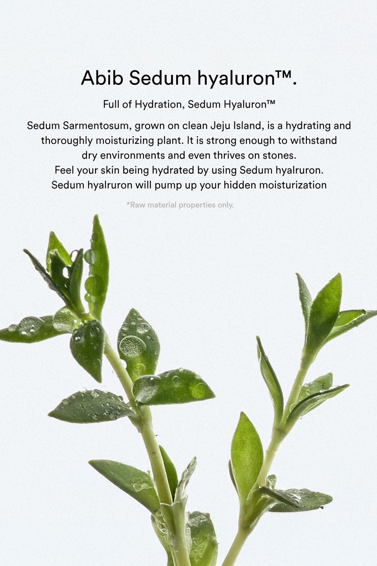 ABIB SEDUM HYALURON PAD HYDRATING TOUCH