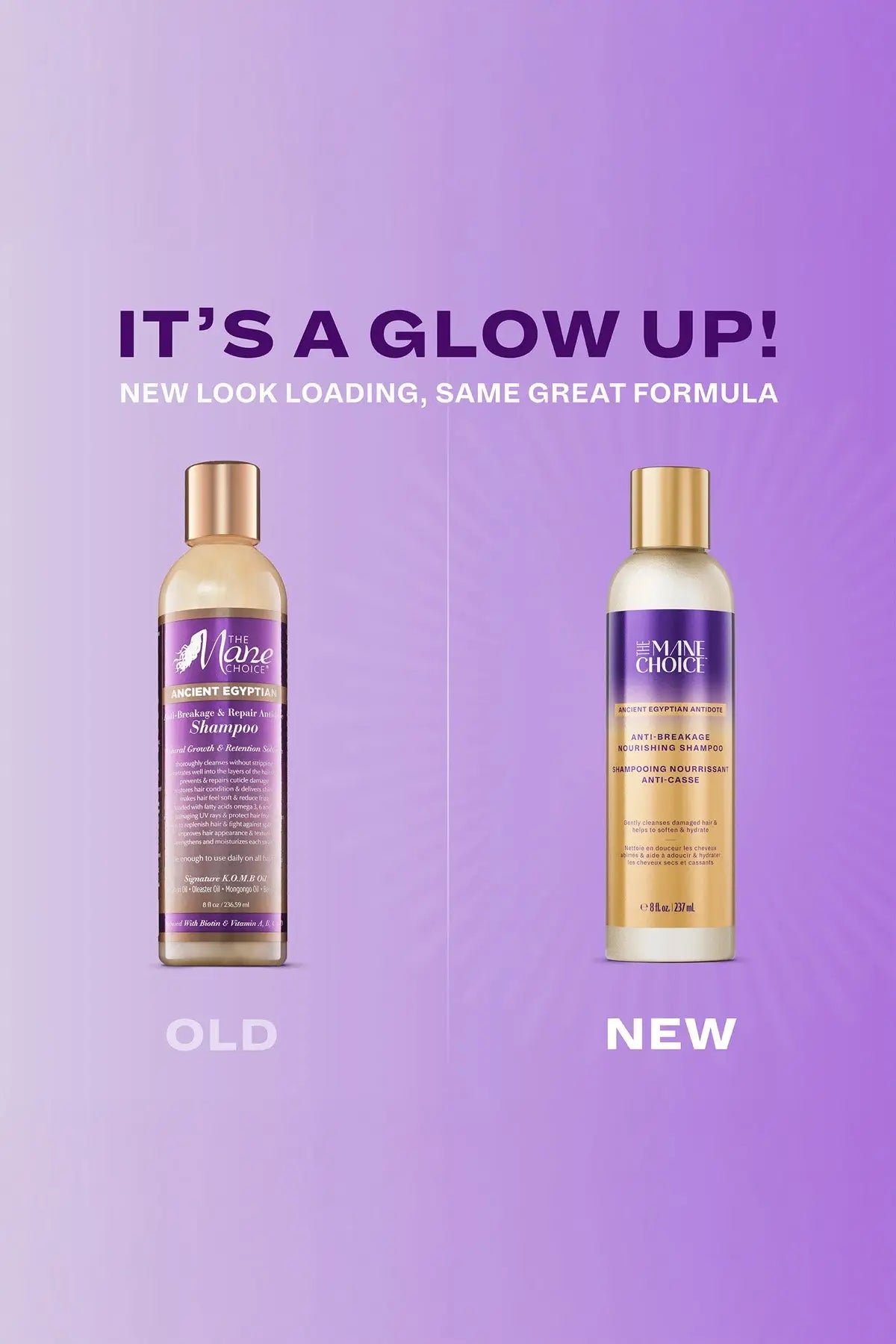 THE MANE CHOICE ANCIENT EGYPTIAN ANTI-BREAKAGE & REPAIR SHAMPOO 8oz THE MANE CHOICE