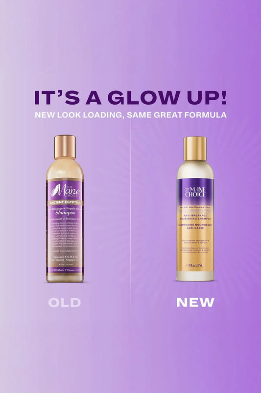 THE MANE CHOICE ANCIENT EGYPTIAN ANTI-BREAKAGE & REPAIR SHAMPOO 8oz THE MANE CHOICE