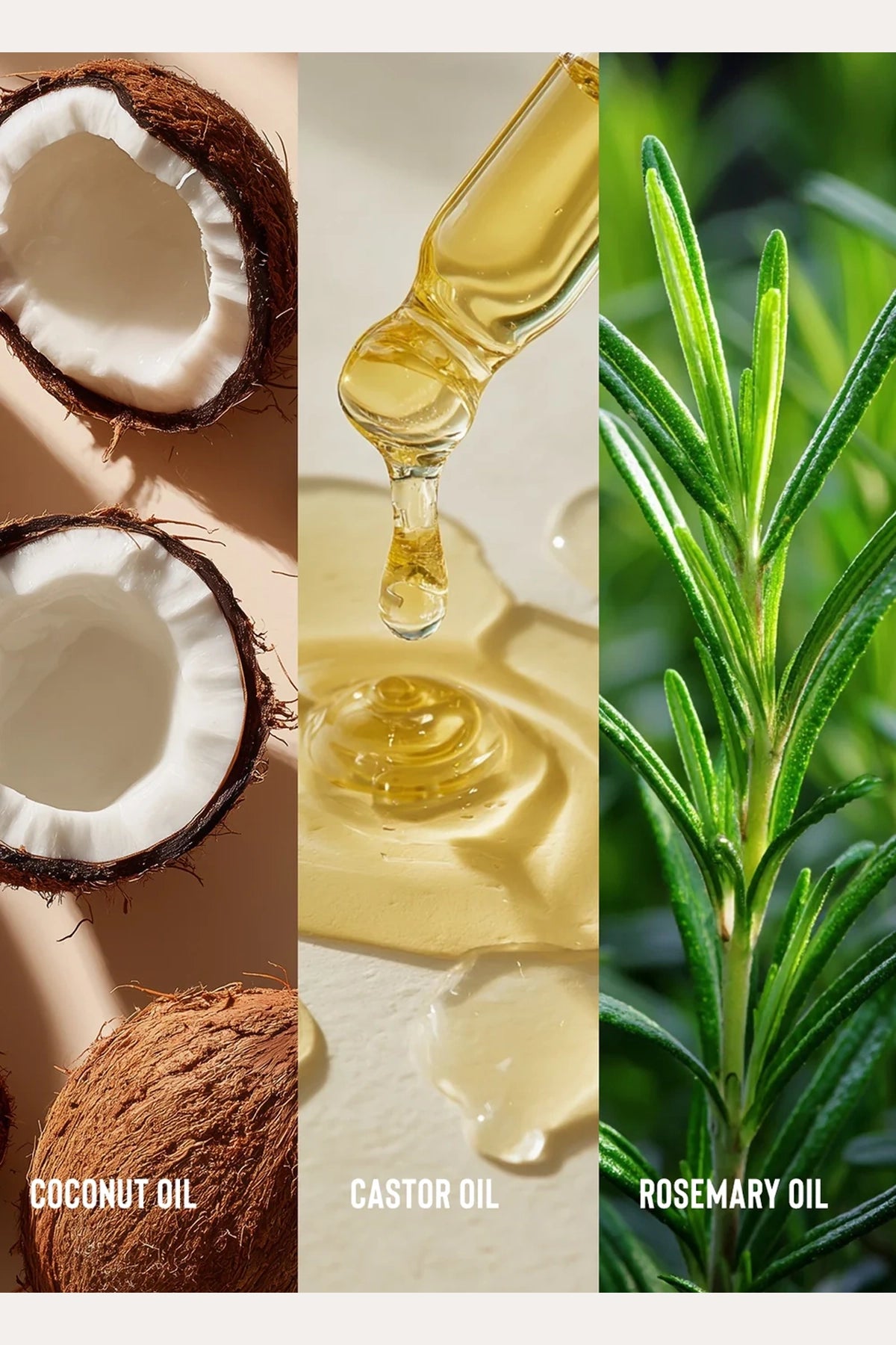 [S'inscrire] CAMILLE ROSE APRÈS-SHAMPOOING HUILE DE COCO POUR CHEVEUX BOUCLÉS !