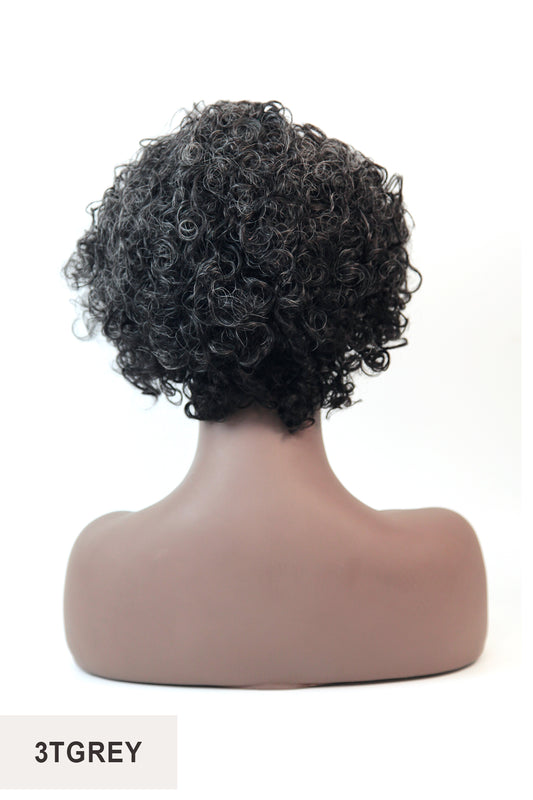 ZURY SIS MS. WISDOM SALT & PEPPER HUMAN HAIR LACE PART WIG - NSIA - BSW BEAUTY CANADA