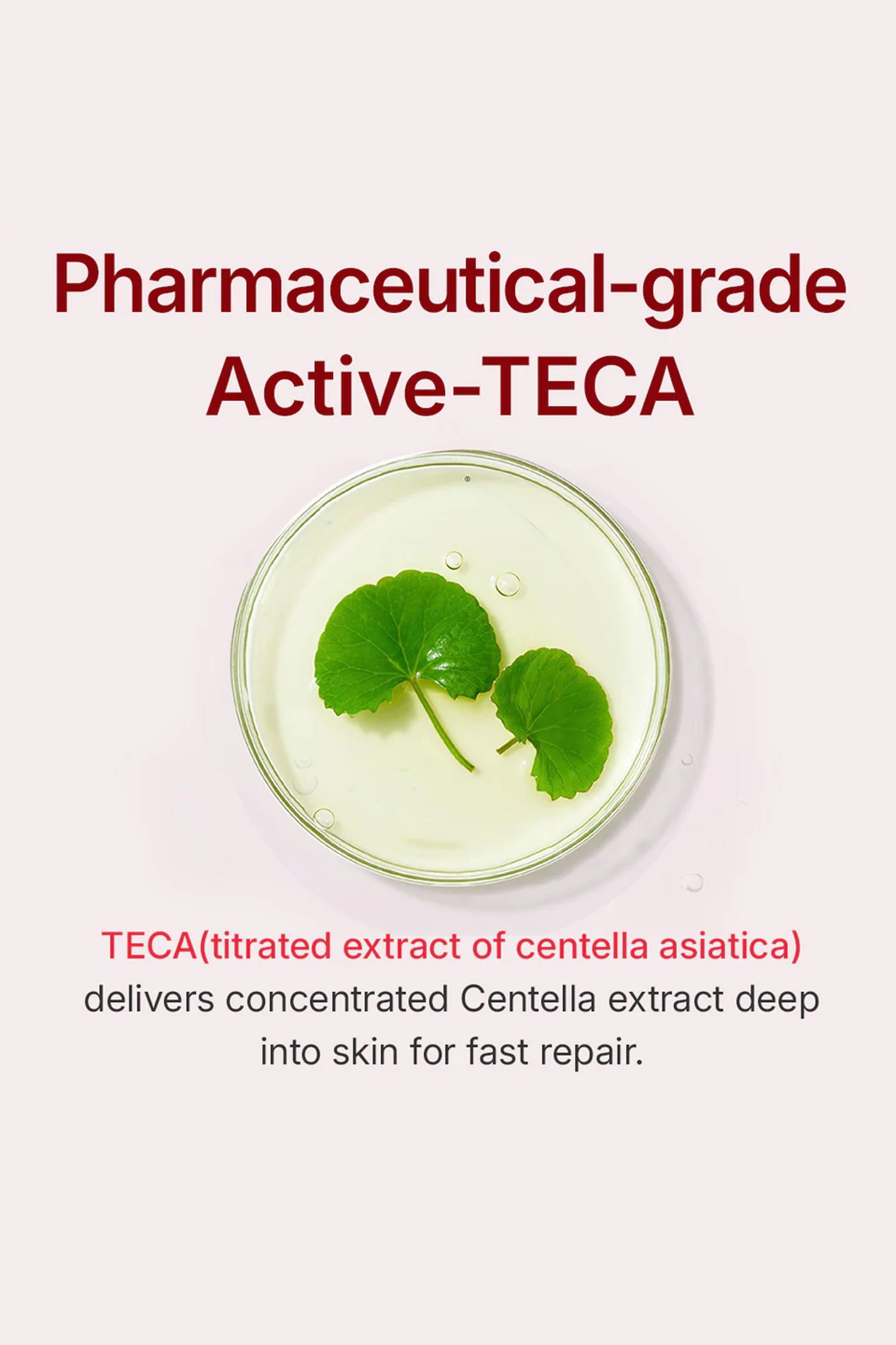 [완료] CENTELLIAN 24 MADECA CREAM TIME REVERSE | Anti-aging Moisturizer CENTELLIAN 24