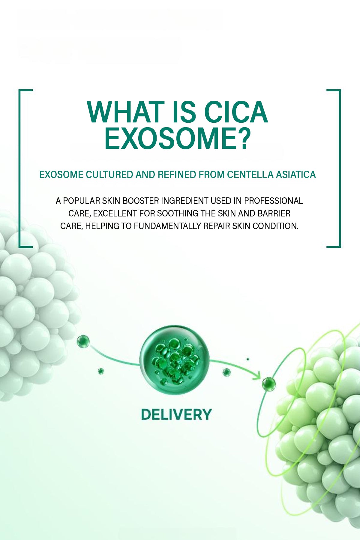 BIOHEAL BOH PANTHECELL REPAIR CICA GAUZE PAD