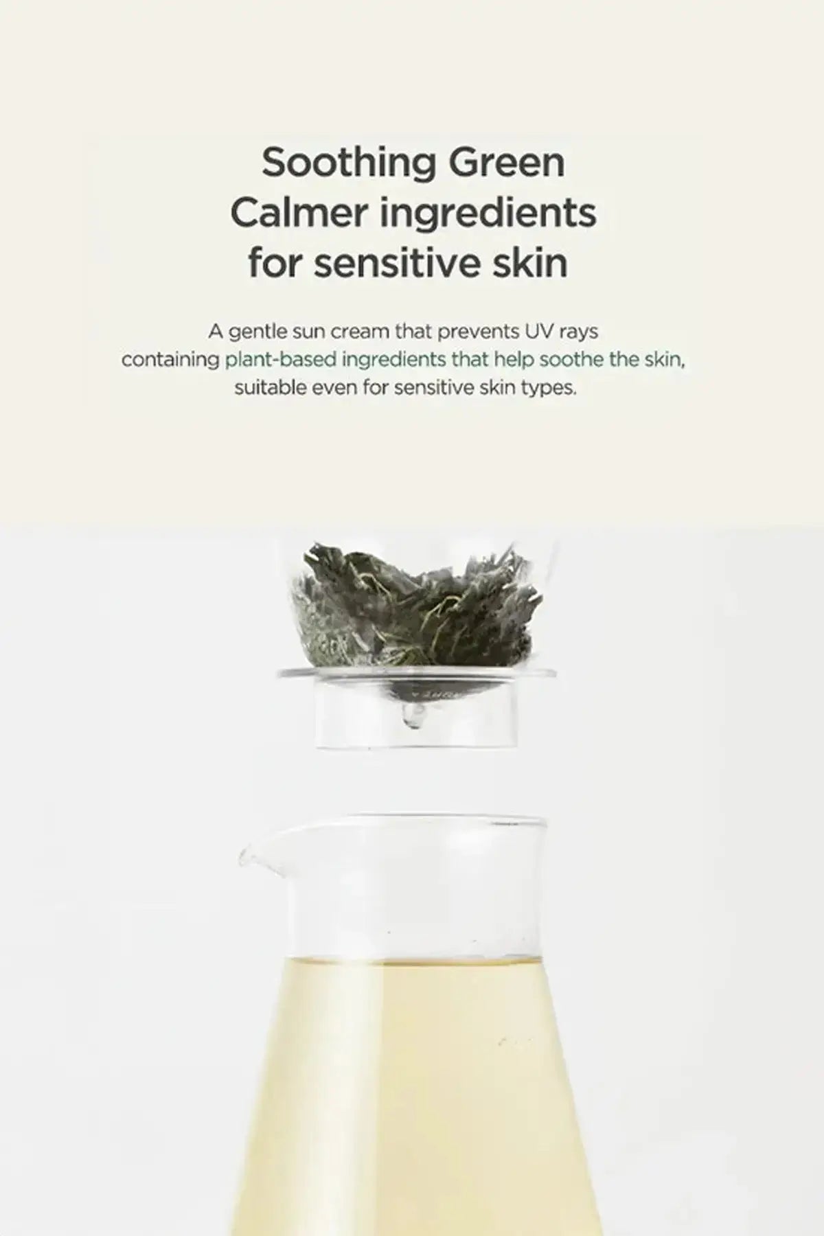 Infographic for the Soothing Green Calmer ingredients, demonstrating why this is the best sunscreen for sensitive skin.